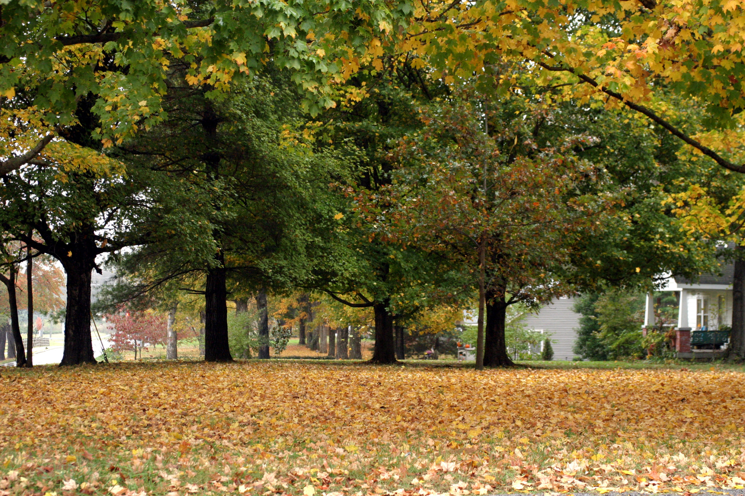 What Is FSBO? Should I list without a realtor? Liberty House Realty